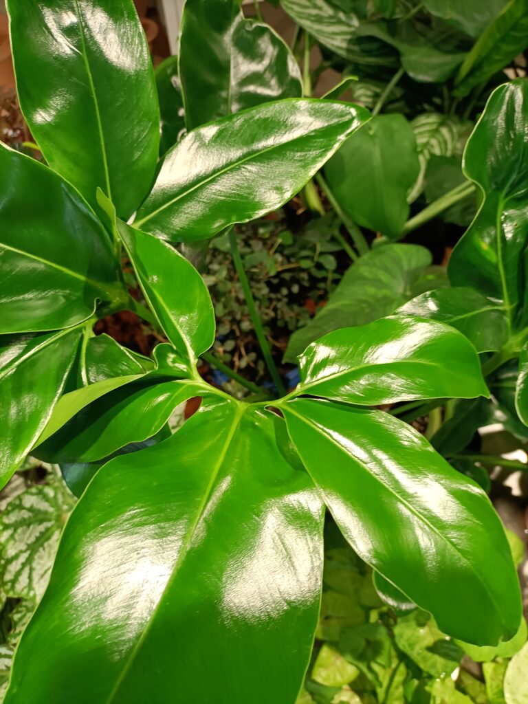IMG20220508103957