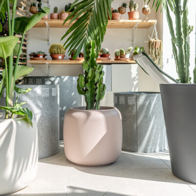 Catalogue Les Fleurs Bleues - Plantes vertes - Cache-pots